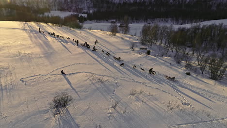 dog sledge ride on a beautiful winter evening in mountains, drone shot