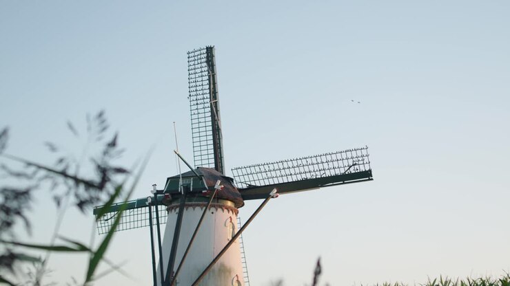 Landskab med traditionel hollandsk vindmølle og flyvende fugle ved solnedgang
