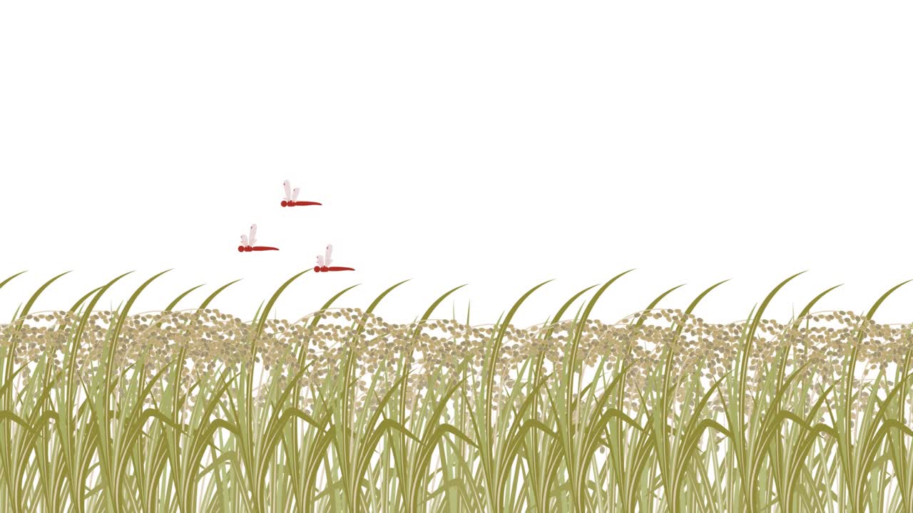 이것은 바람에 흔들리는  식물과 은 libellules의 애니메이션 비디오입니다. loopable