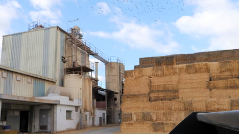 Straw-bales-in-a-processing-factory