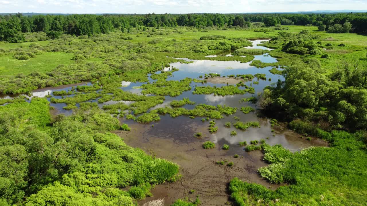 A rich wetland ecosystem in a protected nature reserve