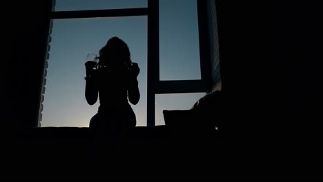 silhouette-of-dancing-lady-holding-wineglass-against-window