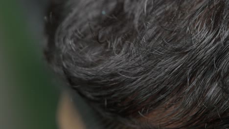 close-up view of dark hair