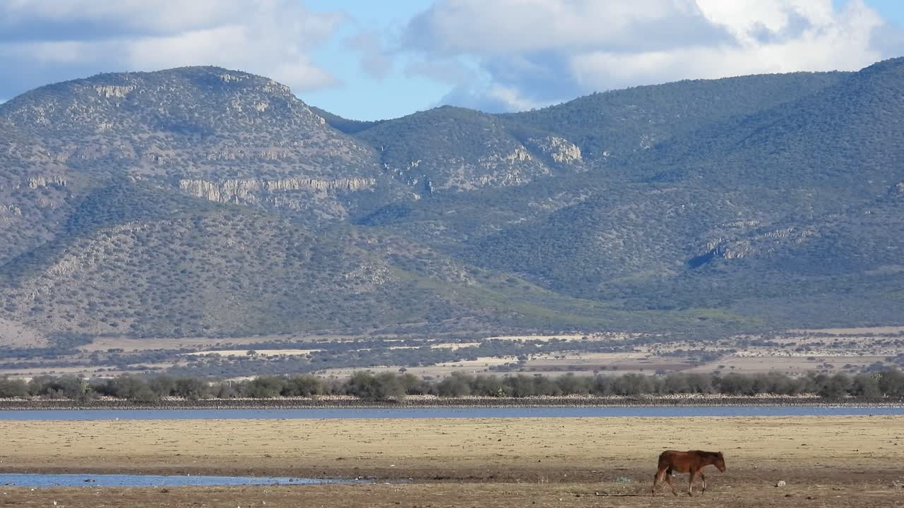 Tranquil landscape: Serenity meets grandeur as clouds cast shadows on majestic mountain in this captivating stock footage