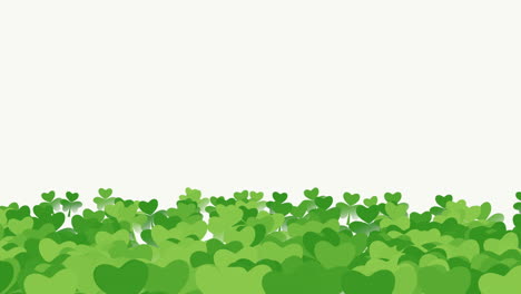 animation saint patricks day with motion green shamrocks 18