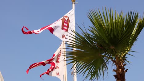 banderas revoloteando junto a una palmera