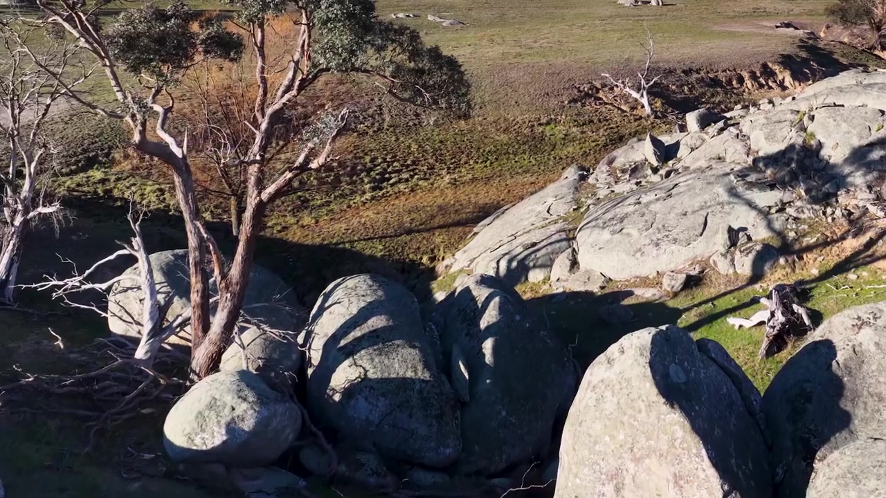 Droneopptak panorerer over granittfjellformasjoner og eukalyptustrær i Uralla, New South Wales