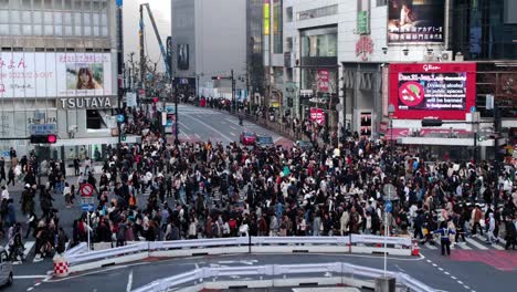 東京の最高の景色