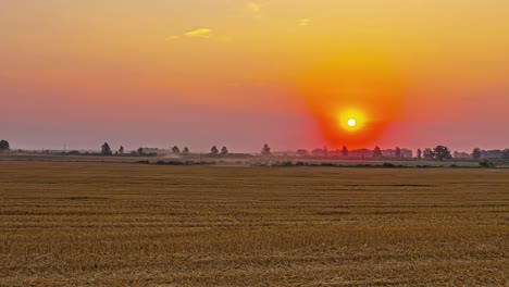 golden horizon over farmland with working agricultural machine