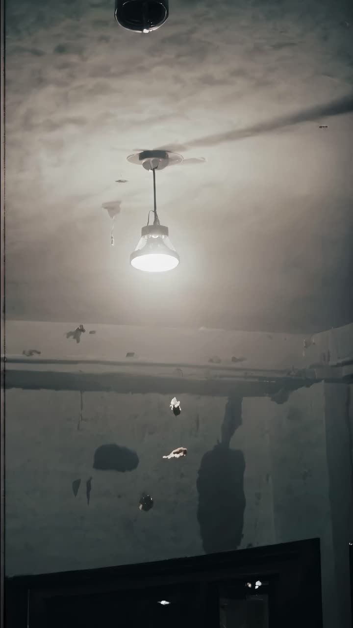A dimly lit room with a hanging light bulb casting shadows on the ceiling