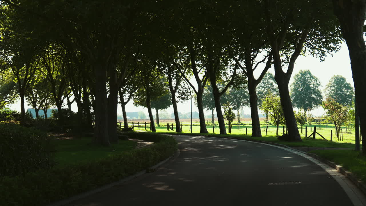 A calm road turning gently through trees and greenery, with sunlight haze in the background. Quiet and cozy atmosphere in a clean, scenic area