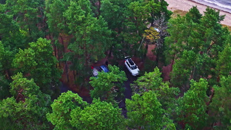 a top-down aerial drone view shows several campers' cars parked in a clearing in a dense pine forest during a rainy day adventure by the baltic sea in latvia