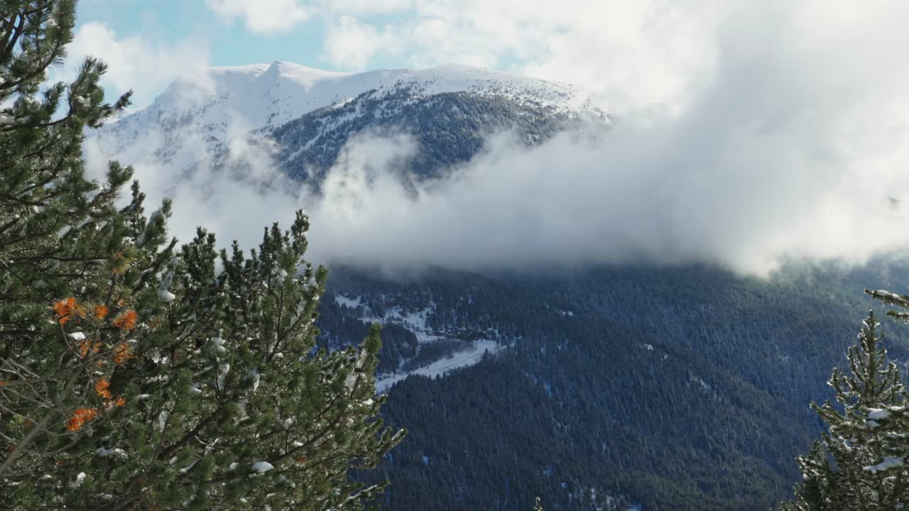 Panning panorama of cloud covered mountain during winter, pine tree forest