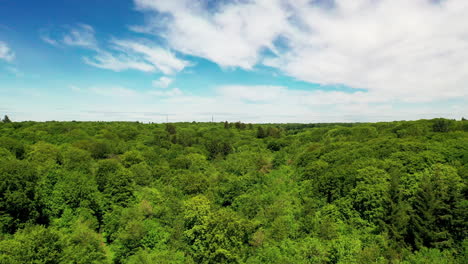 Toma-Aérea-Sobre-Un-Bosque-Verde,-En-Un-Brillante-Día-De-Verano