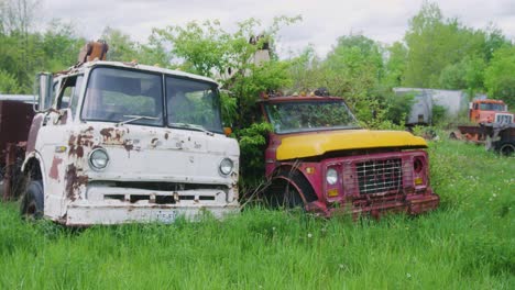 Zwei-Verlassene-Lastwagen-Aus-Den-1950er-Jahren,-Die-Im-Gras-Stehen-Und-Verrosten