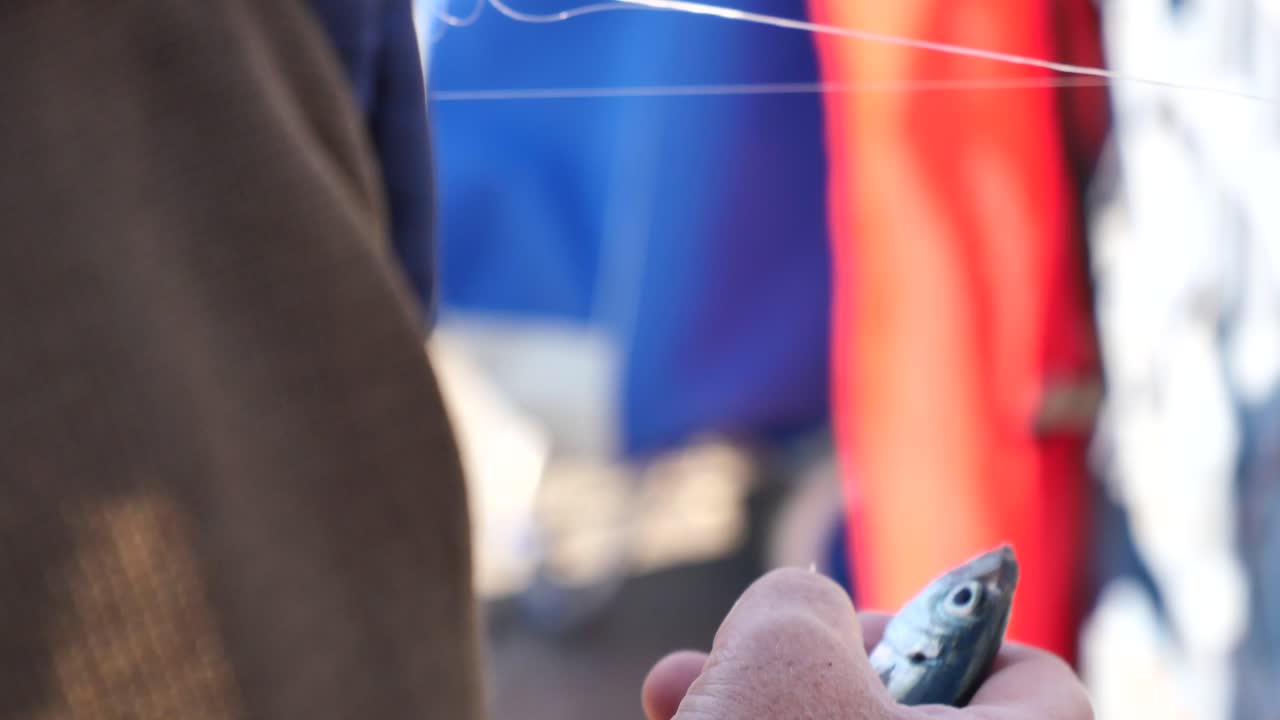 un pescador sostiene un pez pequeño en un gancho, preparándose para usarlo como cebo.