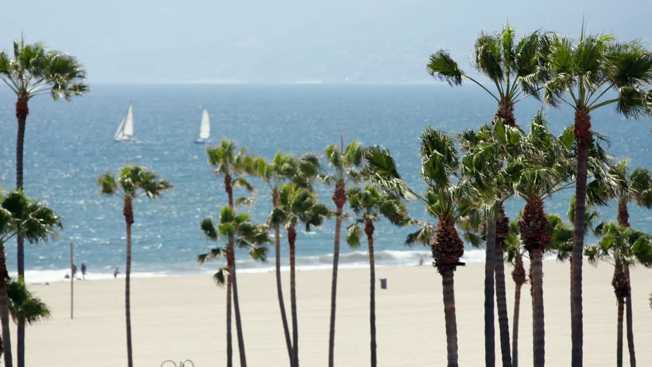 푸른 하늘,  ⁇ 나무, 바다 및 멀리 항해 보트와 함께 베네치아 해변의 긴 렌즈  ⁇