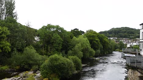 flowing river surrounded by lush greenery