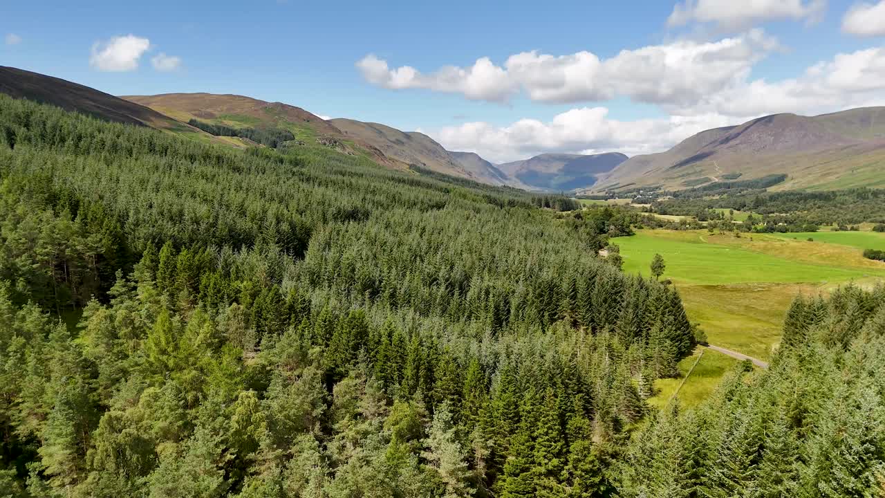 Aerial drone glides over lush pine forest, revealing Glen Clova valley and Scottish Highlands