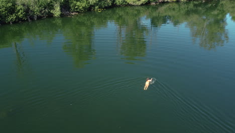person swimming in a river