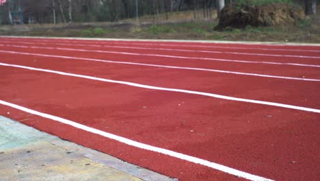 athletes exercise on race track with red carpet and white stripes, running on pitch