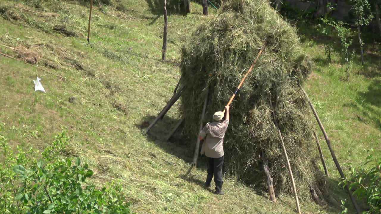 언덕에 건초를 정리하는 노인