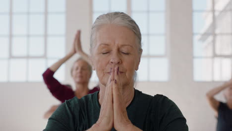 portrait yoga class beautiful old woman exercising healthy meditation practicing prayer pose enjoying group physical fitness workout in studio