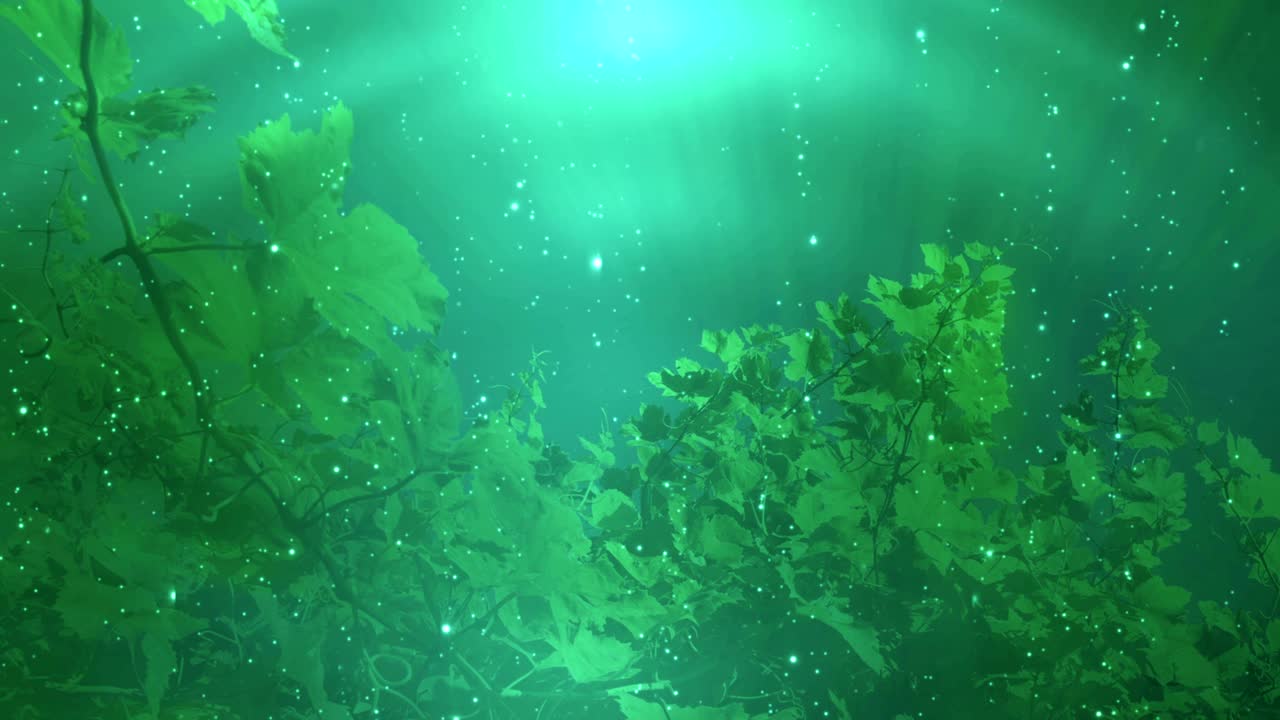 초록색 잎 배경 루프