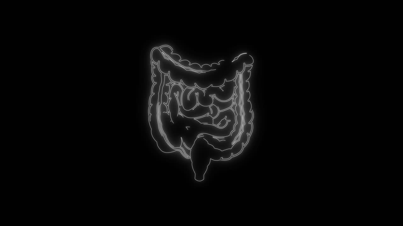 Animazione luminosa al neon del contorno dell'intestino umano