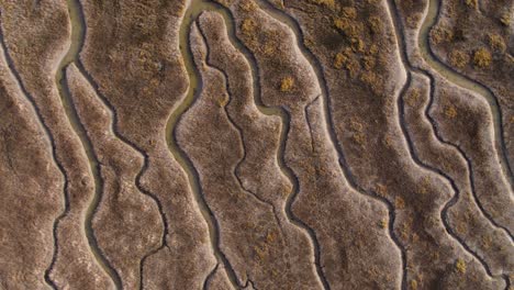 beautiful aerial drone shot of tidal river tributaries and marsh land