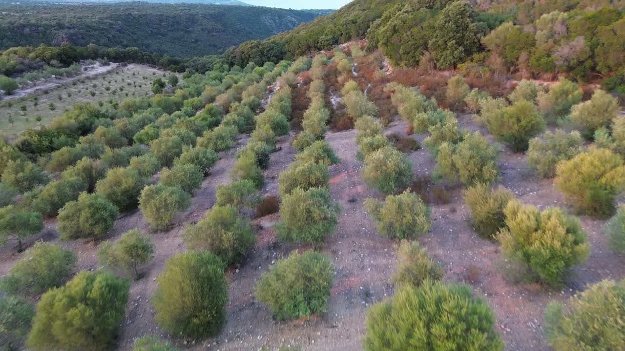 tree, farming, grain, green, stone, panorama, field, country, weather, nature, view, countryside