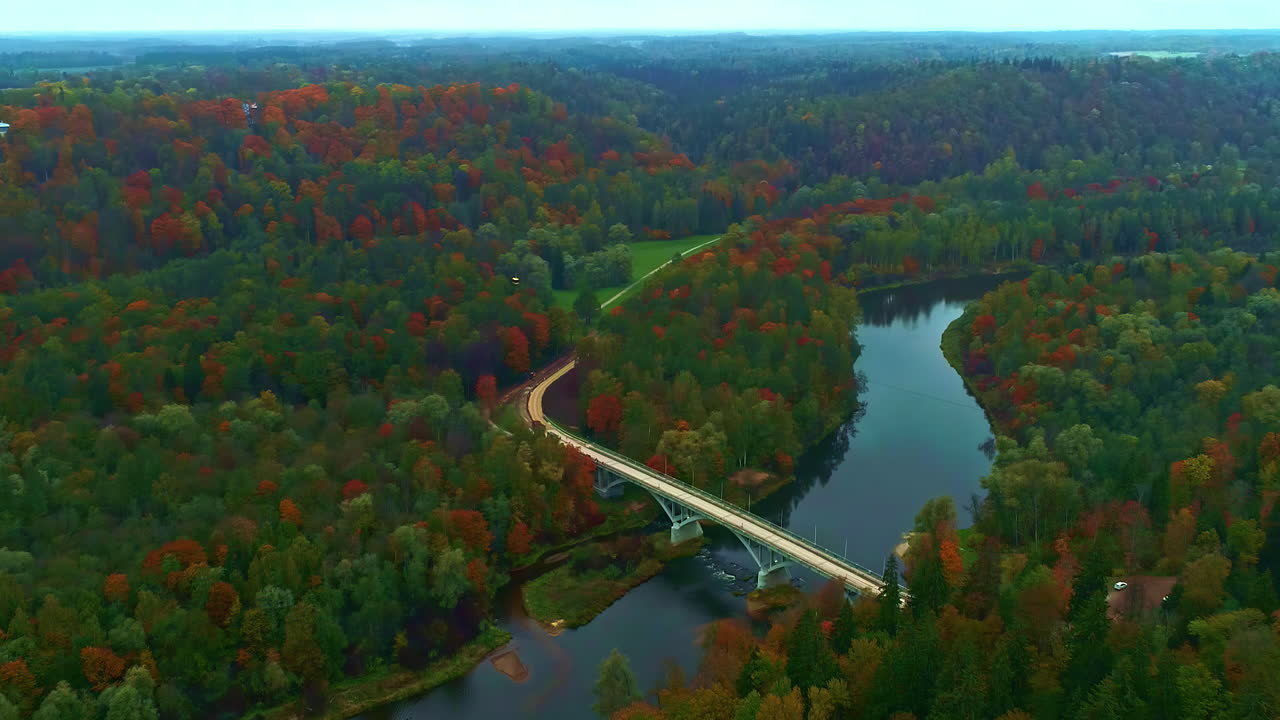 verde otoñal naranja árboles amarillos paisaje amplia vegetación con río entre el flujo, entorno natural prístino drone aéreo panorámica de cámara lenta vista de mosca