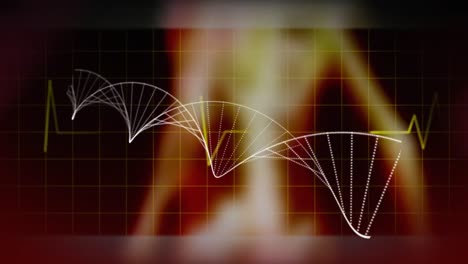 Estructura-De-ADN-Formándose-Contra-El-Monitor-De-Frecuencia-Cardíaca-En-Líneas-De-Cuadrícula