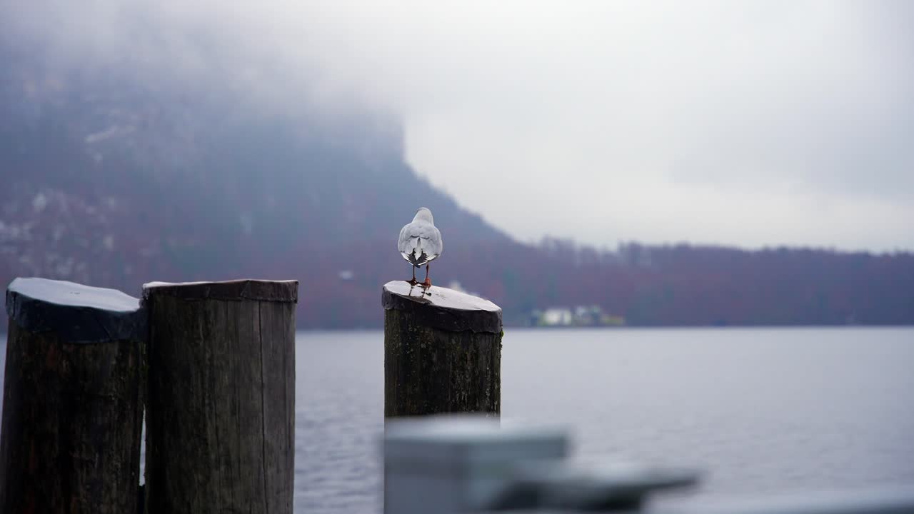 clip filmado en europa en austria desde un pueblo llamado hallstatt que está junto a un lago