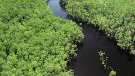 Vuelo-Aéreo-Sobre-El-Brazo-Superior-De-Los-Lagos-Muertos-En-El-Norte-De-Florida