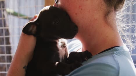 Perro-En-Un-Refugio-Con-Voluntario