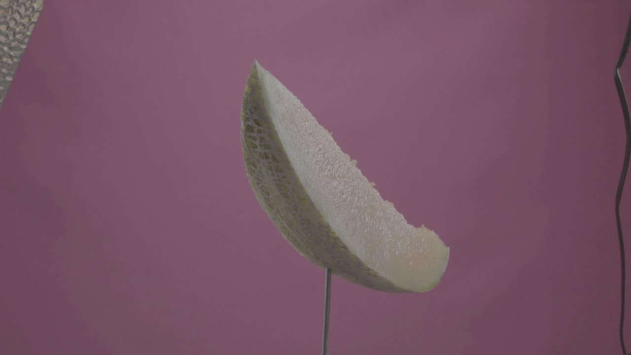 크로마 키를 위한 푸키아 스크린에 루프와 함께 회전하는 멜론