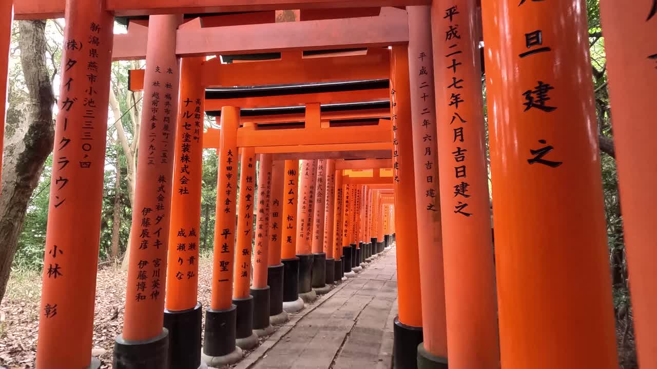 Kävelemässä tuhansien torii-porttien läpi Fushimi Inari-taishan pyhäkössä Kiotossa, Japanissa