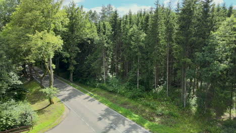 empty-paved-road-crossing-a-pine-forest,-into-the-wild-and-isolated-nature,-with-blue-sky