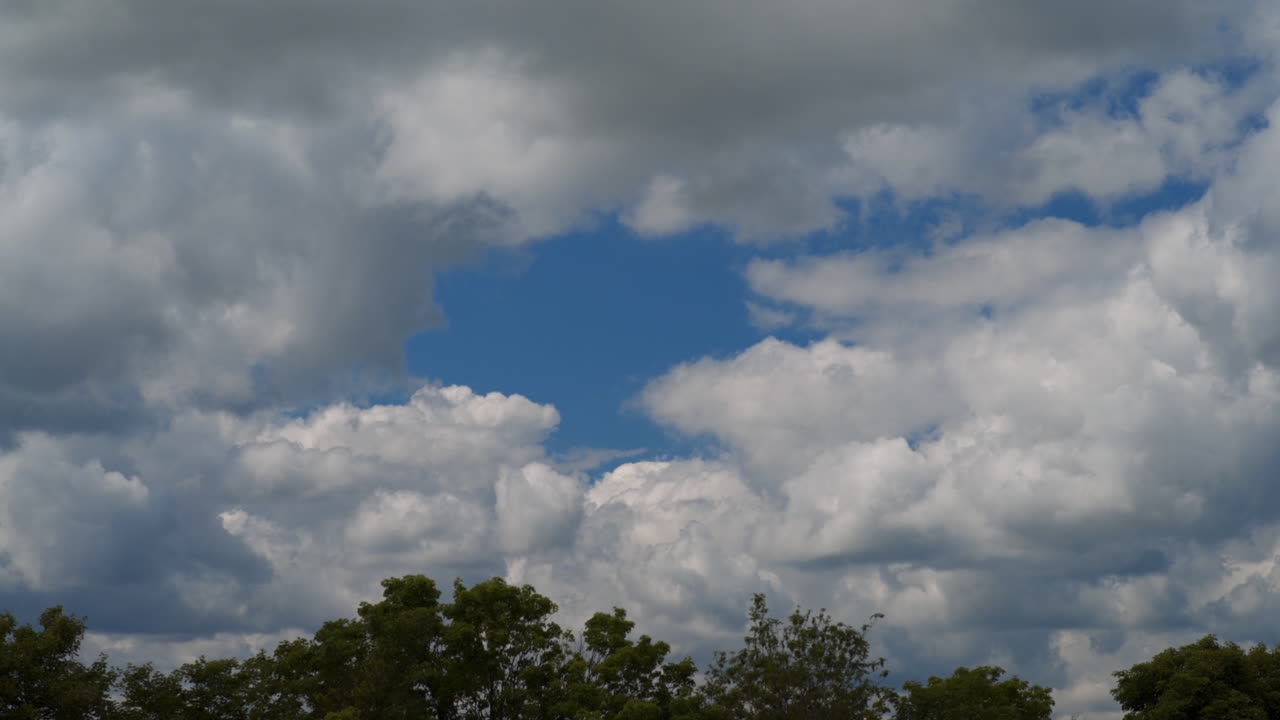 Fluffy clouds floating above a forest in realtime.. 4K