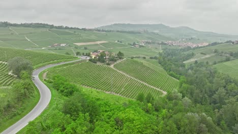 Beautiful-Italien-vineyards