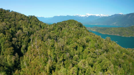 aerial landscape over the reloncavi estuary, showing green forests and snow peaked mountains, bright sunny day