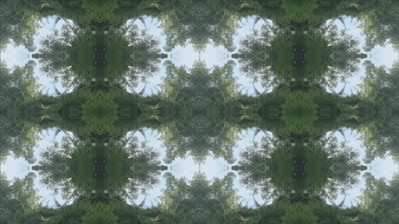 caleidoscopio de paisaje forestal, #10