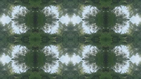 kaleidoscope of forest scenery, #10