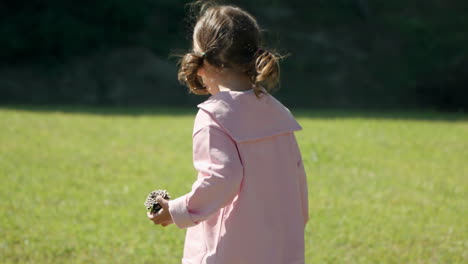 niña curiosa y juguetona con una cono de pino en la mano caminando en busca de conos más grandes en el prado cubierto de hierba - vista lateral seguimiento en cámara lenta