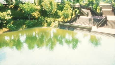 tranquil pond framed by lush green woodland park in sunshine