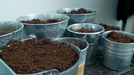 using his tattooed arm, a man is sprinkling soil onto the buckets, ensuring an even distribution of the earth within them