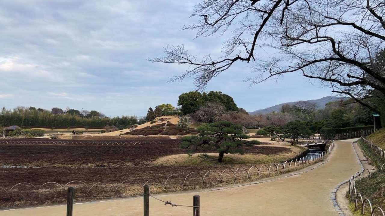 Erba bruciata, Giardino Korakuen, Okayama, Giappone