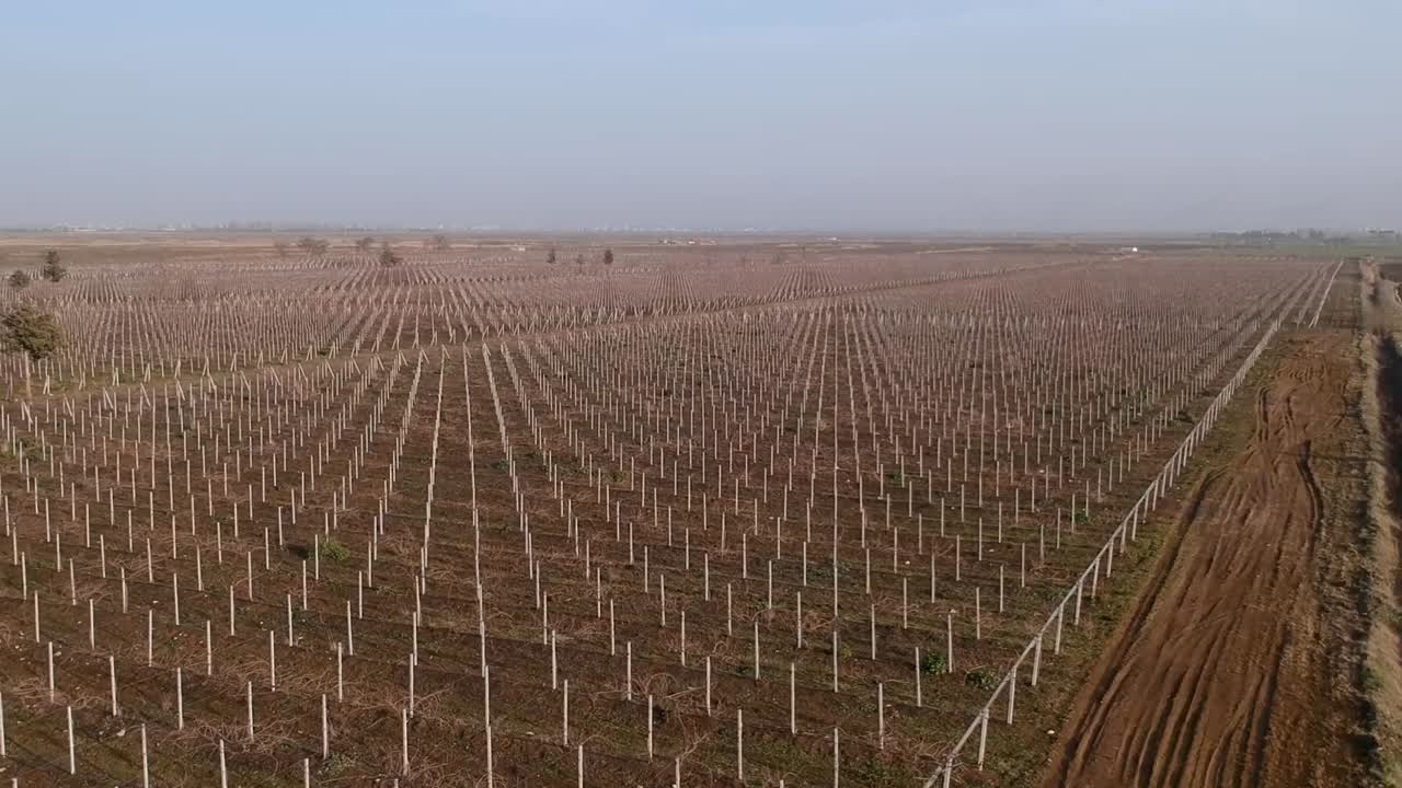 toma aérea baja sobre campos agrícolas preparados para la plantación en el oeste del valle de beqaa, líbano