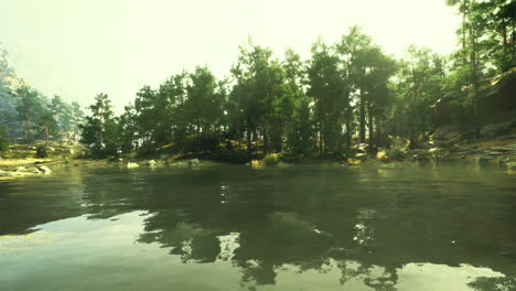 serene lakeside view surrounded by lush trees during daylight hours